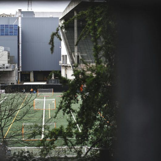 View of a sports field adjacent to a modern stadium, framed by greenery.