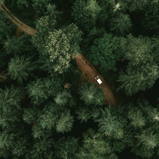 A drone shot capturing a car traveling on a secluded forest road amidst dense green trees.